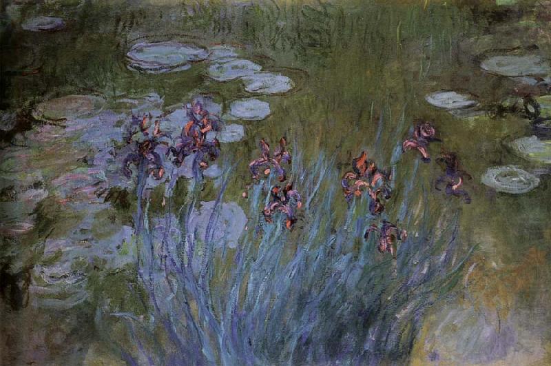 Claude Monet Irises and Water Lillies china oil painting image